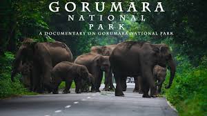 Gorumara National Park